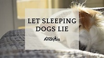 "Let sleeping dogs lie" Meaning and Origin | Poem Analysis