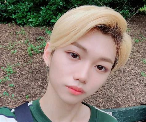 See more ideas about felix, felix stray kids, stray. Lee Felix ( Lee Yong-bok) - Bio, Facts, Family Life of K ...