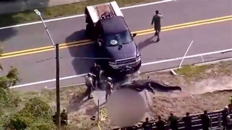 haunting photos of 14ft alligator seen carrying human body in its mouth in florida as horrified