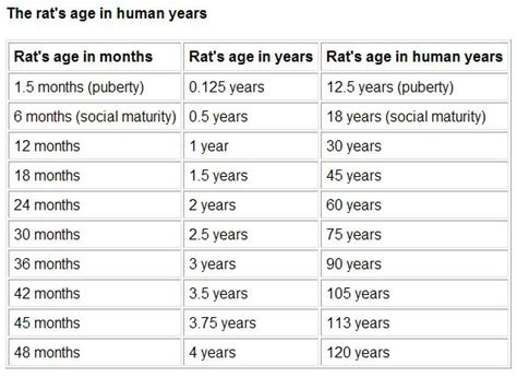 Boys and girls have separate growth charts, because boys are on average slightly heavier and taller than girls, and their growth patterns are. rat to human age conversion chart...rats life expectancies ...