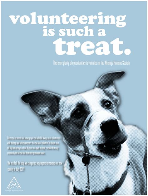 Stacey Campbell: Watauga Humane Society: More Posters