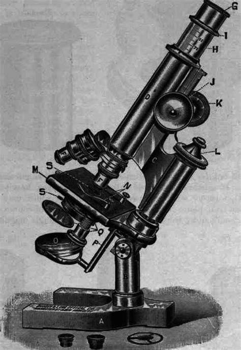 The microscope has 3 to 4 of these lenses which consists of 4x, 10x, 40x, and 100x powers. I. Description of the Microscope