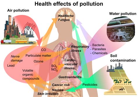 Filehealth Effects Of Pollutionpng Wikipedia
