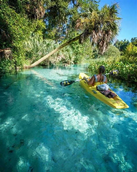 Maybe you would like to learn more about one of these? Wekiwa Springs State Park In Florida! | Outdoor lifestyle ...