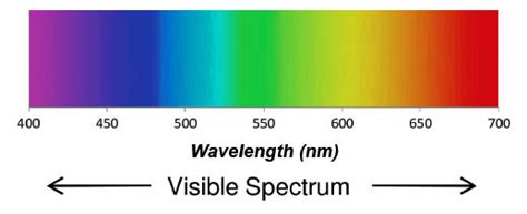 Understanding Fiber Optic Wavelength
