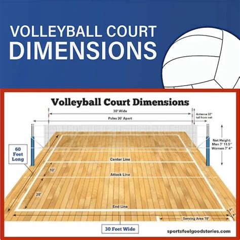 Volleyball Court Dimensions And Net Height For All Levels Of Play