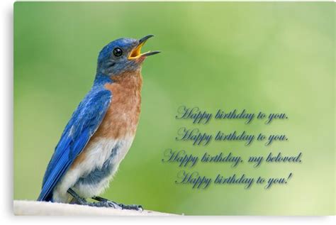 Happy Birthday Bluebird Canvas Prints By Bonnie T Barry Redbubble