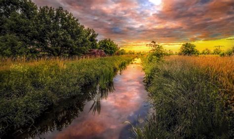 Germany Nature River Grass Green Tree The Field Summer