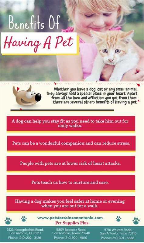 Benefits Of Having A Pet Small Pets Pets Animals