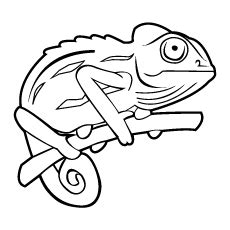 This is an interesting image which can help your kid learn numbers as well. Chameleon Coloring Pages - Free Printables - MomJunction