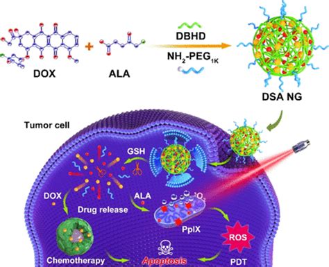 Glutathione Responsive Multifunctional “trojan Horse” Nanogel As A