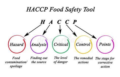 HACCP Food Safety Tool Stock Illustration Illustration Of Haccpfood