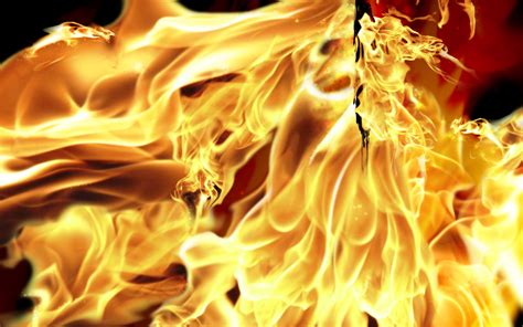 Here you can explore hq fire transparent illustrations, icons and clipart with filter setting like size, type, color etc. 47 Stunning Fire Wallpaper - Technosamrat