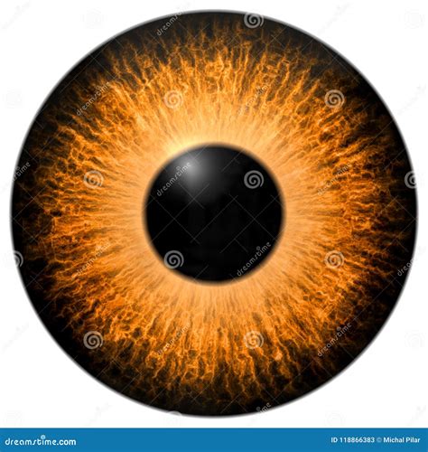 Orange 3d Eye Texture With Black Fringe Stock Illustration