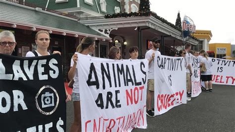 Theme Park Bosses City Officials Hit Back At Animal Activists The