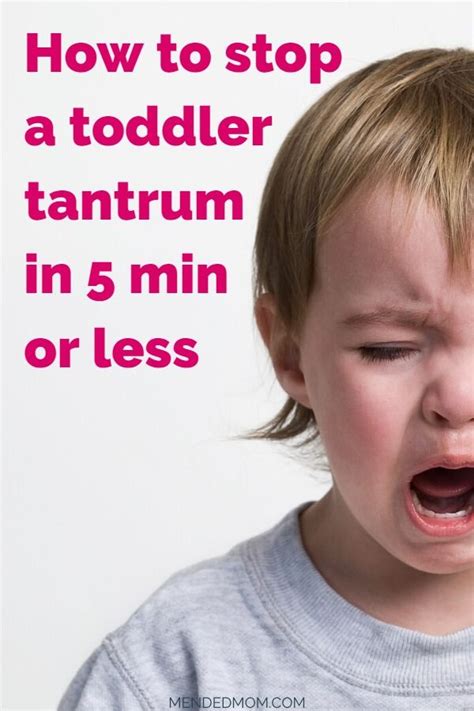 How To Manage Tantrums Like A Boss Tantrums Toddler Toddler Anger