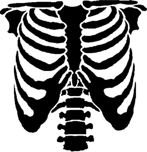 Skeleton Chest Halloween Skeletons Bleach Art Rib Cage Drawing