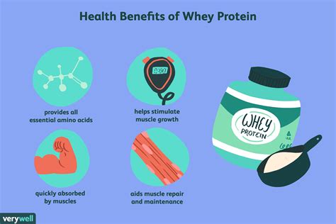 Find The Best Whey Protein Powder For Your Diet