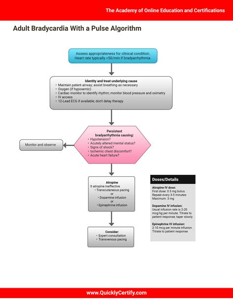 Acls Bradycardia Algorithm Acls Advanced Cardiac Life