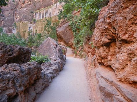 Zion Riverside Walk One Of The Best Hikes In Zion National Park