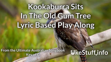 Kookaburra Sits In The Old Gum Tree Lyric Based Play Along Youtube