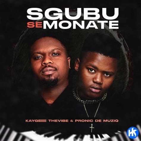 Kaygee The Vibe Sguba Se Monate Ft Pronic Demuziq Mp3 Download