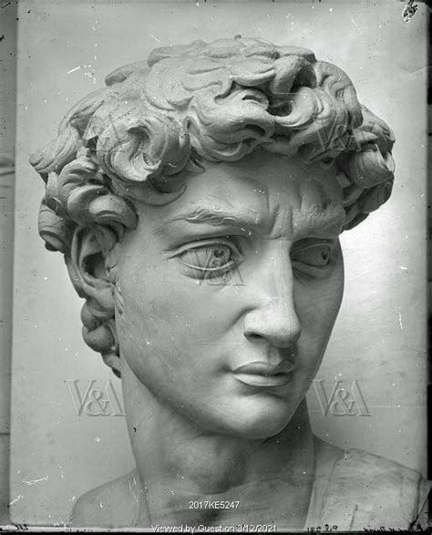 cast of the head of michelangelo s david in the accademia di belle arte florence photo isabel