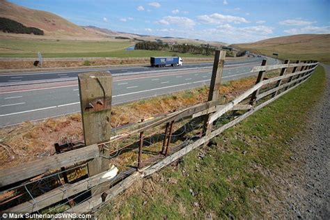 Abington Sheepdog Takes Control Of Tractor And Drives It Onto M74
