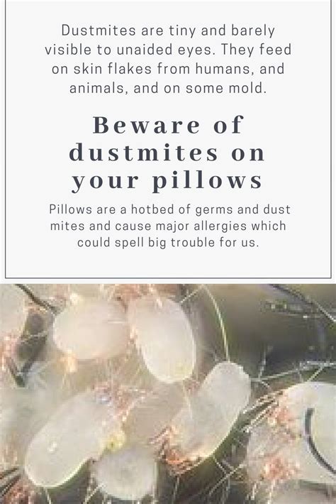 Beware Of Dust Mites On Your Pillows Beauty And Personal Grooming