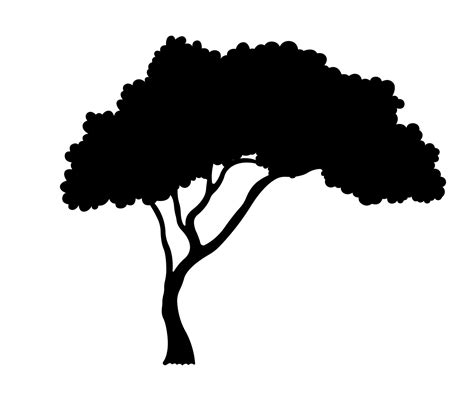 African Tree Silhouette Branch And Leaves Illustration 9432434 Vector