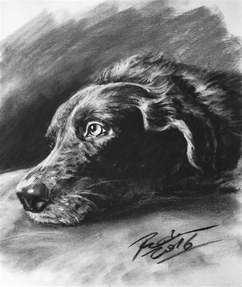 Pet Portrait Drawing With Charcoal Pencil Custom Pet Drawing Dog Art