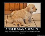 Anger Management What Is It Photos