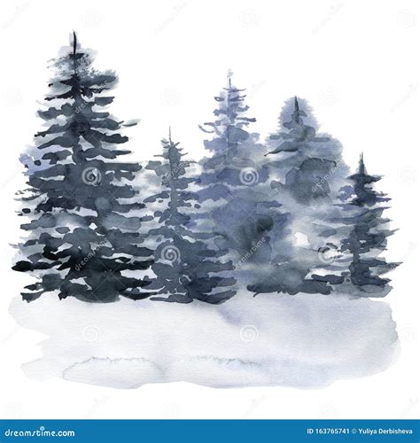Watercolor Winter Forest Hand Painted Foggy Fir Trees Illustration