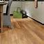Premier Select  8mm Laminate Flooring Golden Oak 2162m2