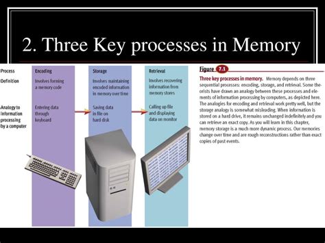 Ppt Chapter 7 Memory Powerpoint Presentation Free Download Id1804920