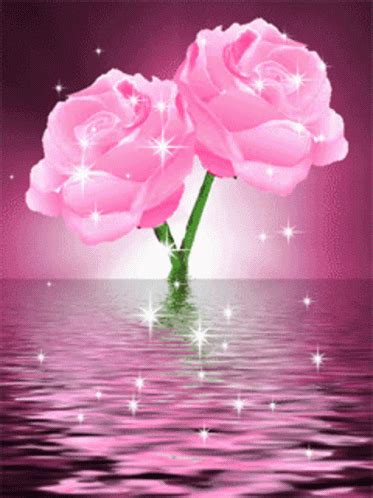 Animated Gif Flowers Rose