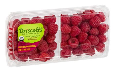 Where To Buy Organic Raspberries