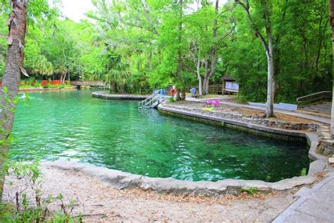 Exploring The Natural Wonders Of Wekiwa Springs State Park A Haven For Outdoor Enthusiasts