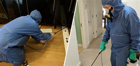 Here are few chemical free steps that should be followed to remove unwanted pests in a humane manner as given by pest control professionals at avid pest services. Domestic Pest Control | PEST UK