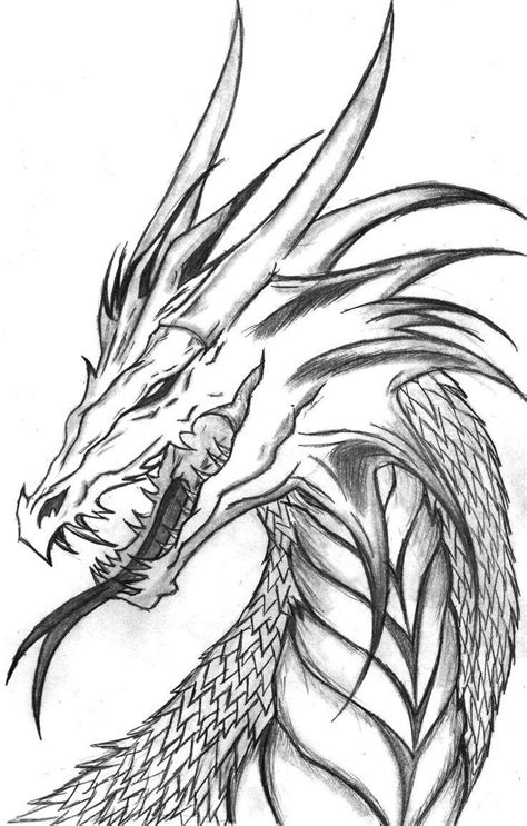 Cool Dragon Drawing At Getdrawings Free Download