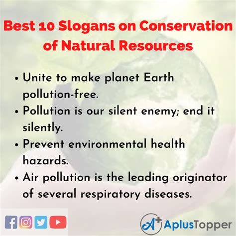 Best 10 Slogans On Conservation Of Natural Resources Unique And