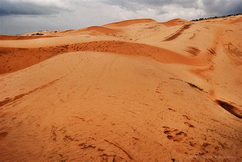 Sledding Down The Red Sand Dunes Of Mui Ne Viet Nam Greg Goodman