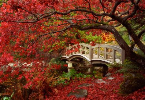 15 Japanese Inspired Garden Bridges Home Design Lover