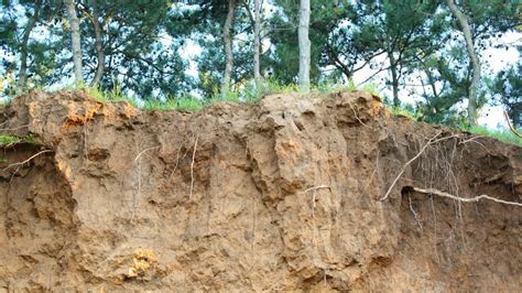 What Is Soil Erosion