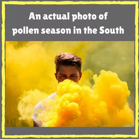 Pollen Season Southern Sayings Southern Life Southern Girls Southern