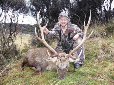 5 Day New Zealand Sika Deer Hunt For Two Hunters And Two Observers