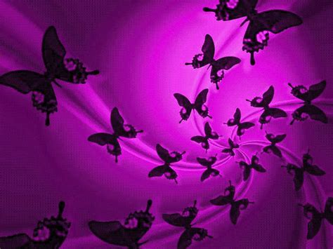Free Download Purple Butterfly Backgrounds Wallpaper Purple Butterfly
