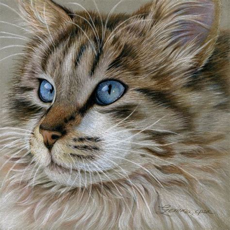 50+ inspiring color pencil drawings of animals by katy lipscomb. gemma gylling.jpg (800×800) | Cat painting, Cat art, Animal paintings
