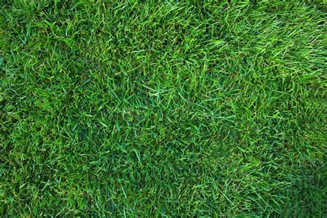 Green Short Cut Grass Lawn Texture Background Stock Image Image Of Backdrop Light 129866997