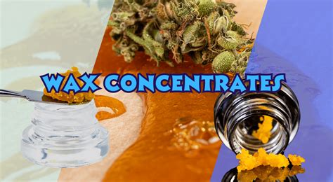Wax Concentrates The Wonderful World Of Dabs White Rabbit